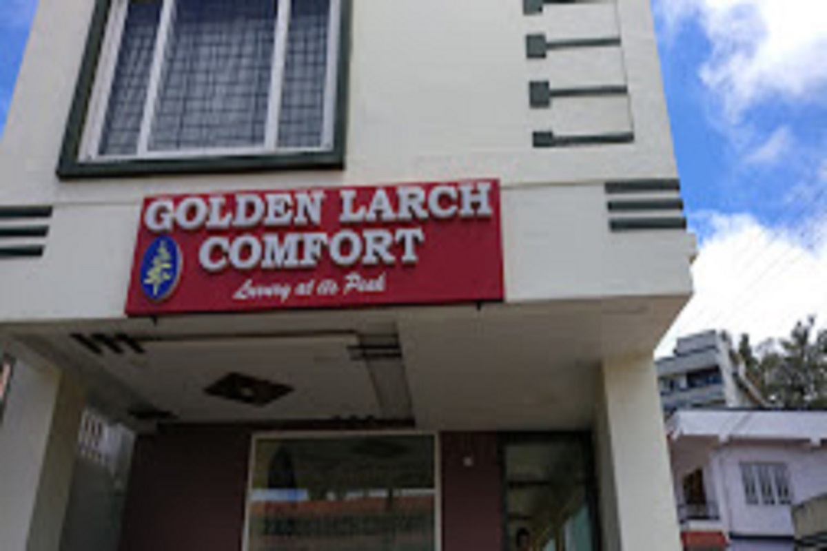  Golden Larch Comfort