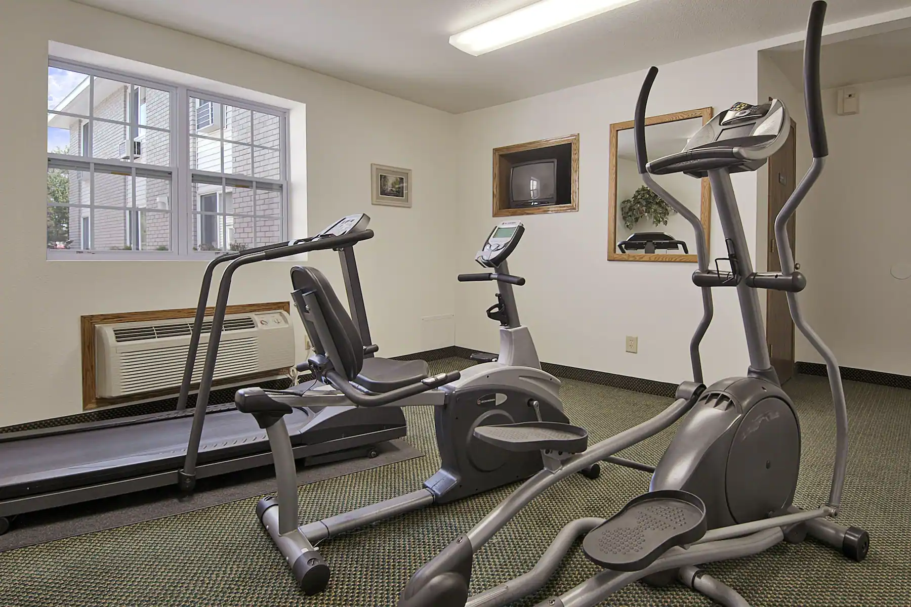 GYM